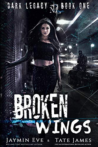 Algopix Similar Product 13 - Broken Wings A Dark High School
