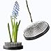 Algopix Similar Product 2 - JUSTDOLIFE Flower Frogs Stainless