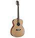 Algopix Similar Product 16 - Austin Guitars Acoustic Orchestra