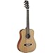 Algopix Similar Product 17 - Austin Guitars 6 String Acoustic Bass