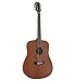 Algopix Similar Product 20 - Austin Guitars Acoustic Dreadnought