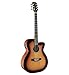 Algopix Similar Product 14 - Austin Guitars 6 String Acoustic Bass