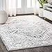 Algopix Similar Product 6 - JONATHAN Y MDP100A8 Modern Persian