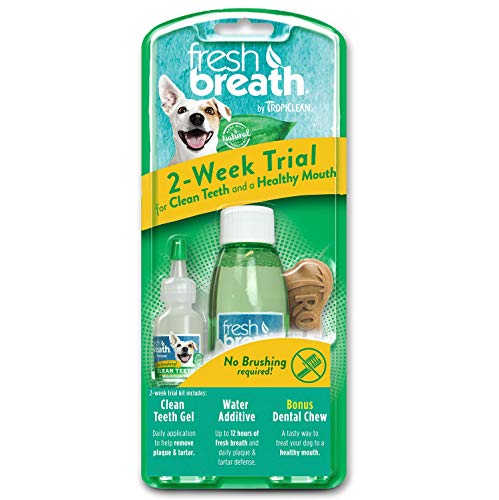 Algopix Similar Product 13 - TropiClean Fresh Breath Dental Trial