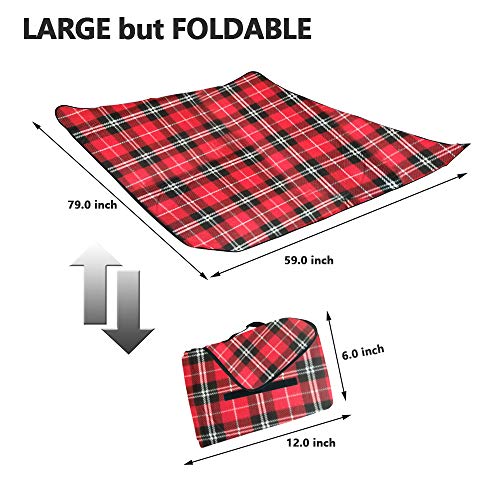 Algopix Similar Product 8 - ShellKingdom Outdoor Picnic Blanket