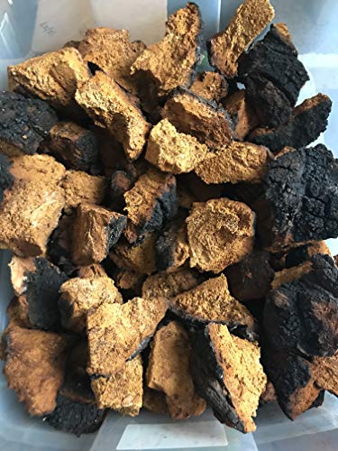Algopix Similar Product 6 - 100 Pure Wild Organic Alaska Chaga