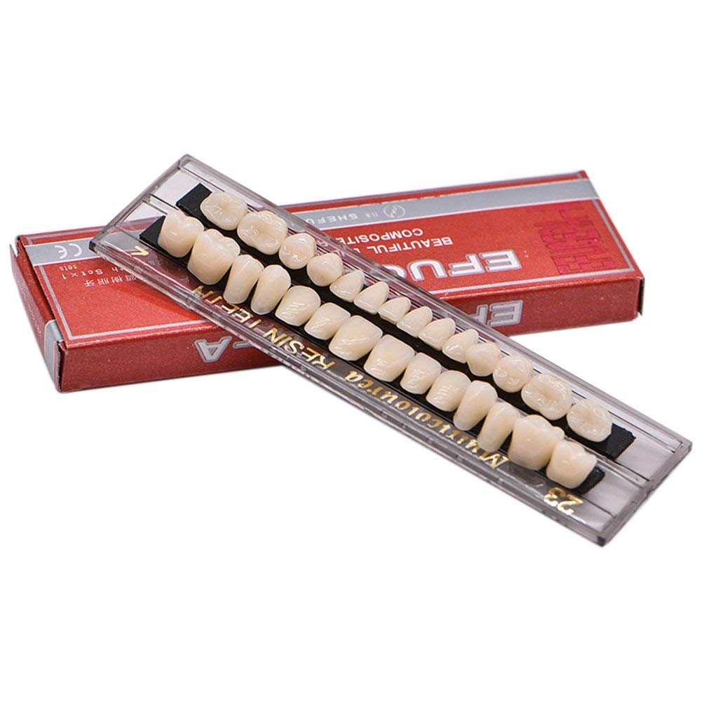 Algopix Similar Product 12 - smiledt Acrylic Resin Teeth Dental