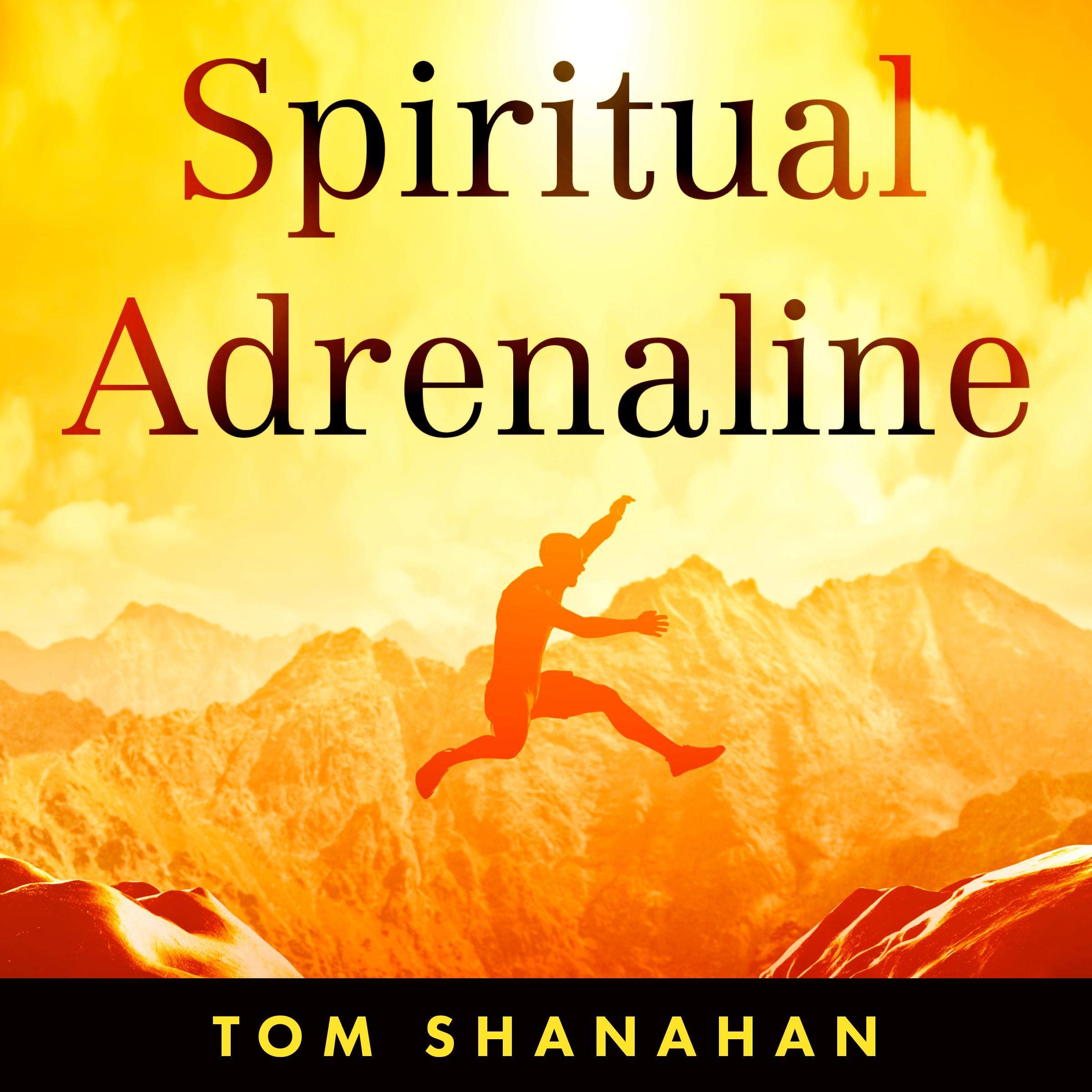 Algopix Similar Product 2 - Spiritual Adrenaline A Lifestyle Plan