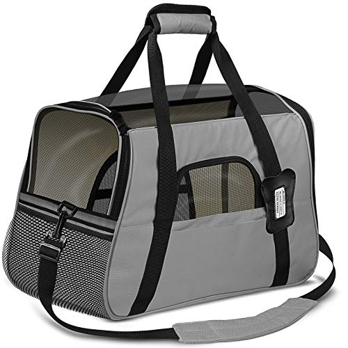 Algopix Similar Product 19 - Paws  Pals Airline Approved Pet