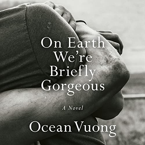 Algopix Similar Product 11 - On Earth We're Briefly Gorgeous: A Novel