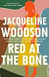 Algopix Similar Product 3 - Red at the Bone: A Novel