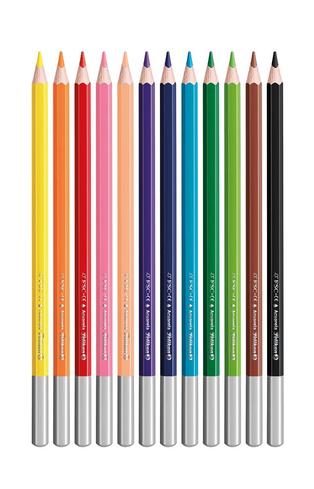 Algopix Similar Product 10 - Watercolour Pencils - Pack of 12