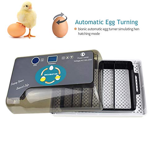 Algopix Similar Product 7 - Upgraded Egg Incubator Automatic