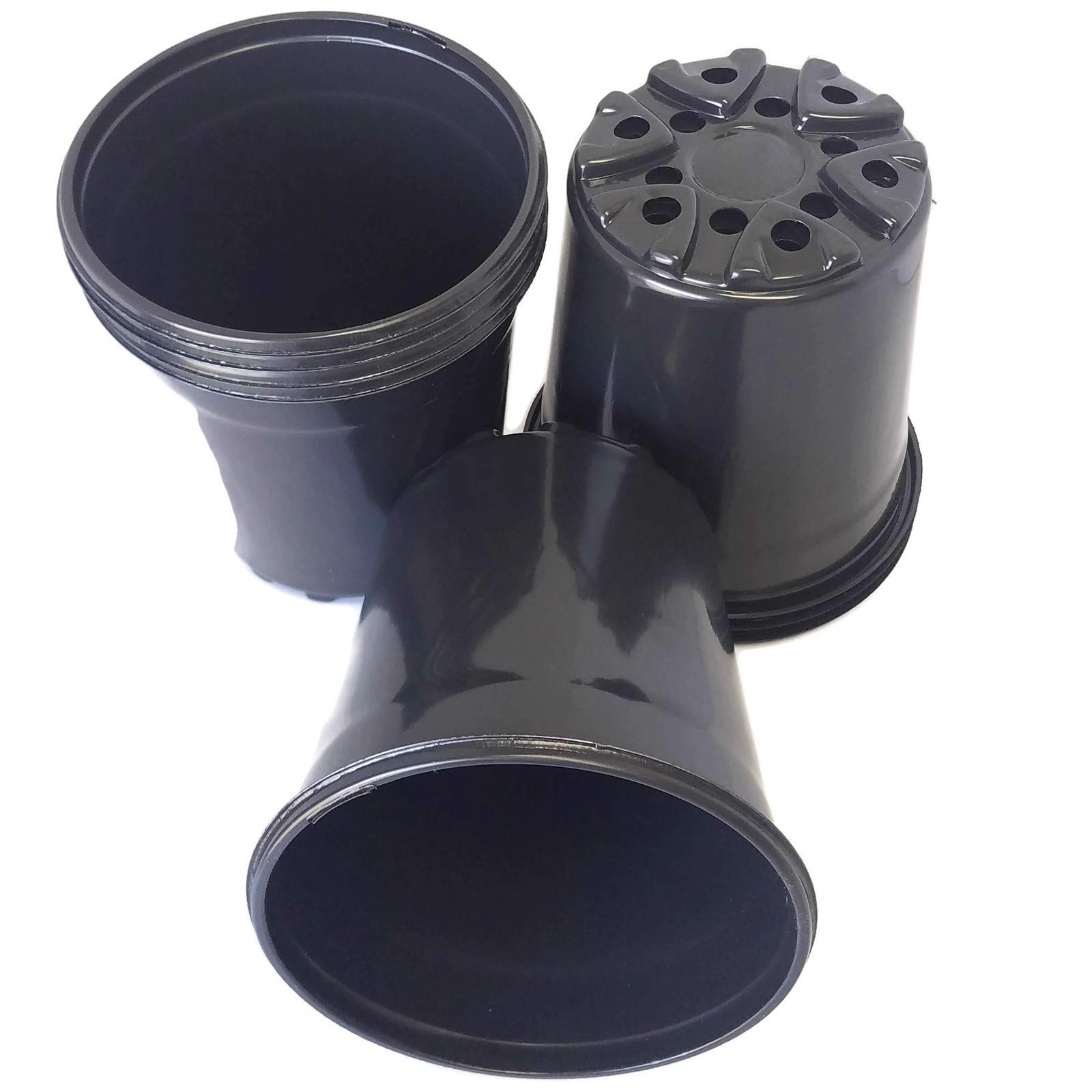Algopix Similar Product 11 - Nursery Black Plastic Pots Trade