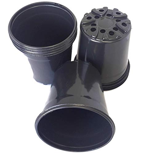 Algopix Similar Product 2 - Nursery Black Plastic Pots Trade