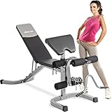 Algopix Similar Product 3 - Merax Weight Bench with Leg Developer