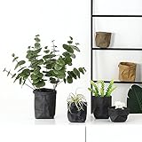 Algopix Similar Product 2 - CapsA Storage Bag Multifunction