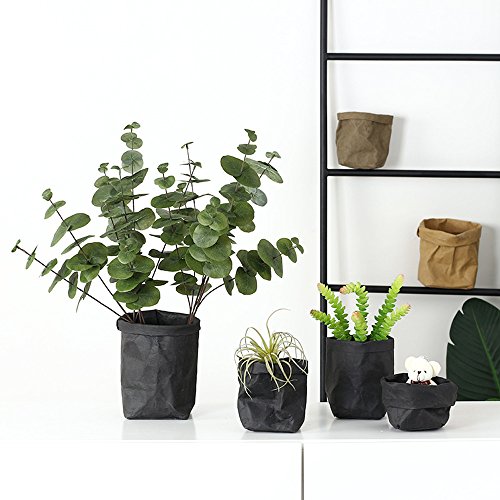 Algopix Similar Product 5 - CapsA Storage Bag Multifunction