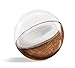 Algopix Similar Product 2 - Poolcandy Tropical Fruit 3D Beach Ball