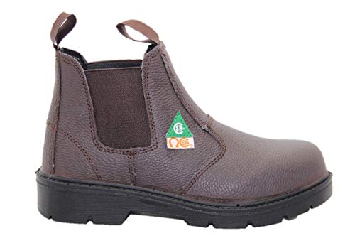 Algopix Similar Product 7 - Dolphin D5 US standard approved