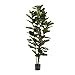 Algopix Similar Product 9 - Home Pure Garden Artificial Fiddle Leaf