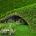 Algopix Similar Product 17 - ZGR Artificial Garden Grass 3 ft x 5 ft
