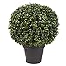Algopix Similar Product 11 - Artificial Boxwood Plant  21Inch