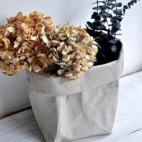Algopix Similar Product 18 - CapsA Storage Bag Multifunction