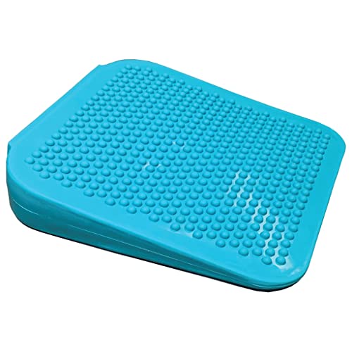 Algopix Similar Product 18 - FitPAWS Ramp, Aqua