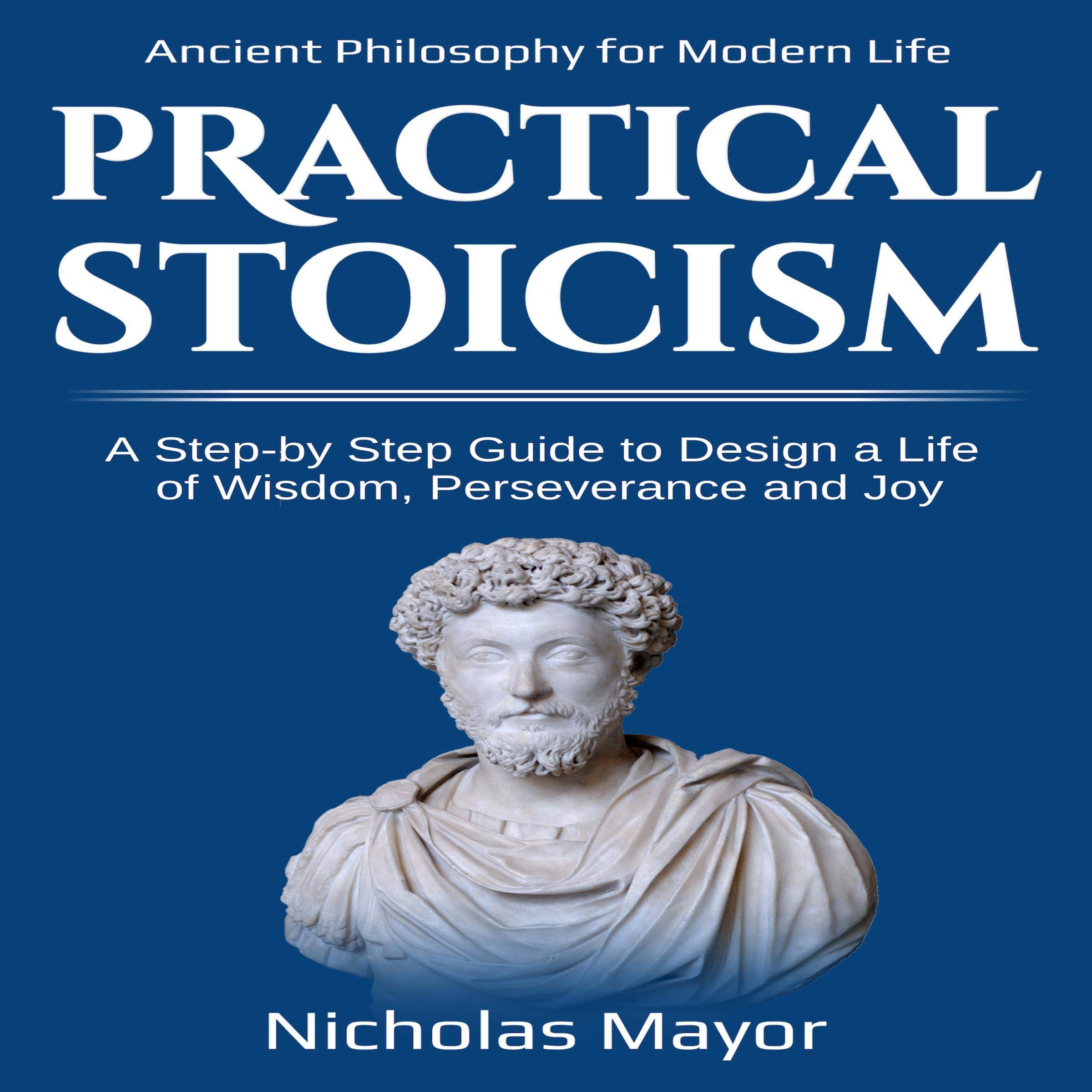 Algopix Similar Product 4 - Practical Stoicism A StepByStep