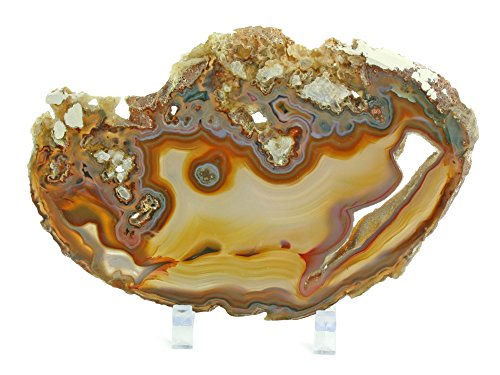 Algopix Similar Product 17 - Popular Polished Agate Slab from Brazil