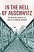 Algopix Similar Product 17 - In the Hell of Auschwitz The Wartime