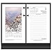 Algopix Similar Product 6 - ATAGLANCE 2020 Desk Calendar Refill