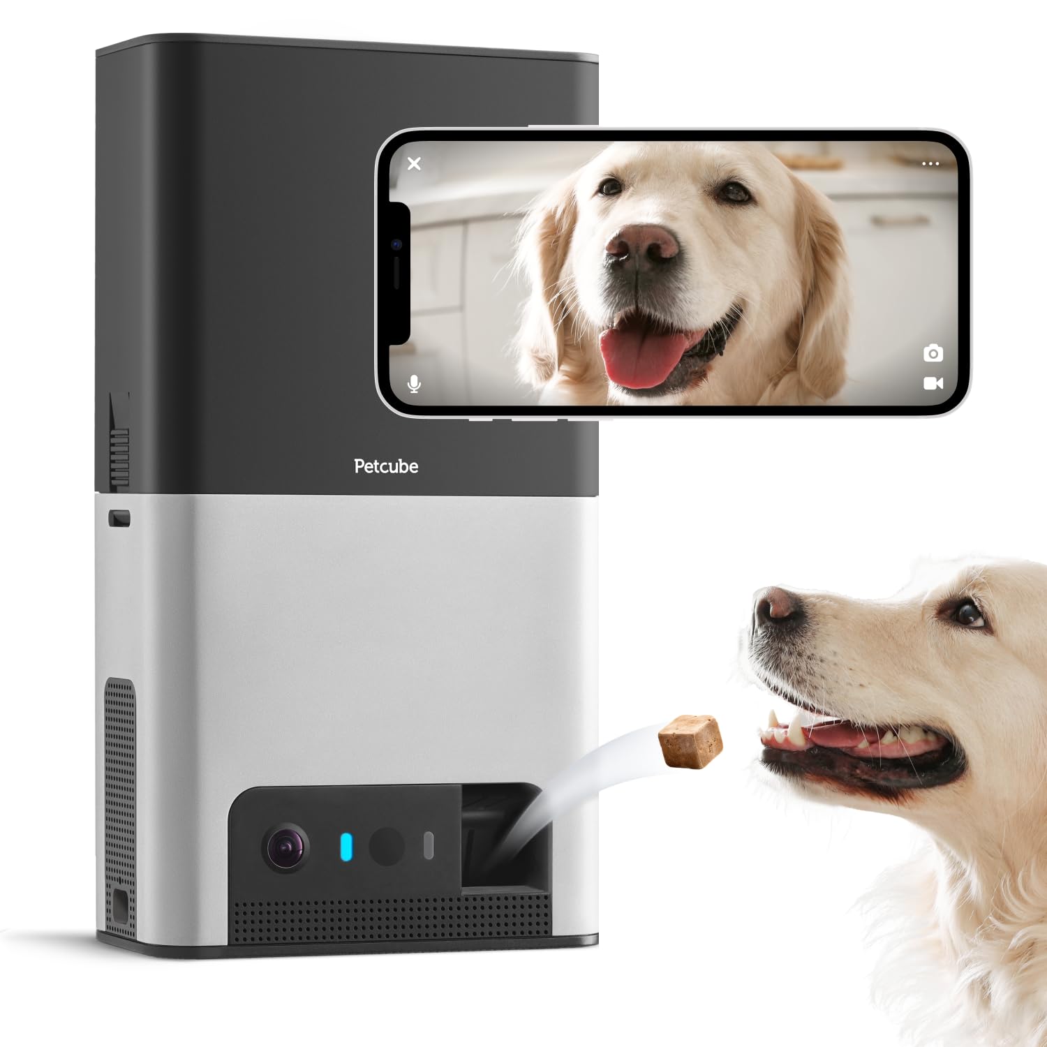 Algopix Similar Product 9 - Petcube Bites 2 WiFi Pet Camera with