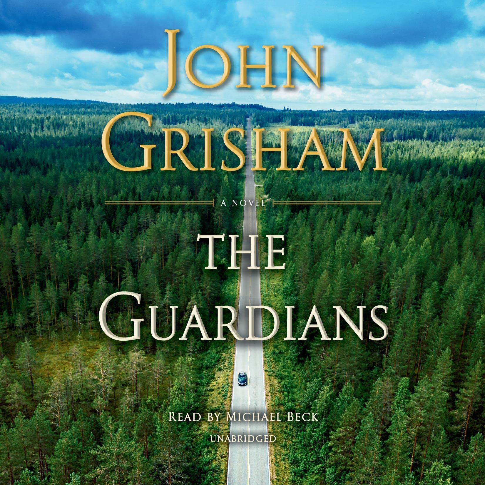 Algopix Similar Product 13 - The Guardians: A Novel
