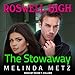 Algopix Similar Product 1 - The Stowaway Roswell High Series Book