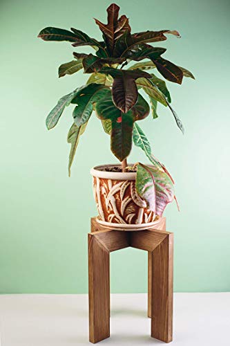 Algopix Similar Product 8 - Mid Century Wood Plant Stand Indoor 