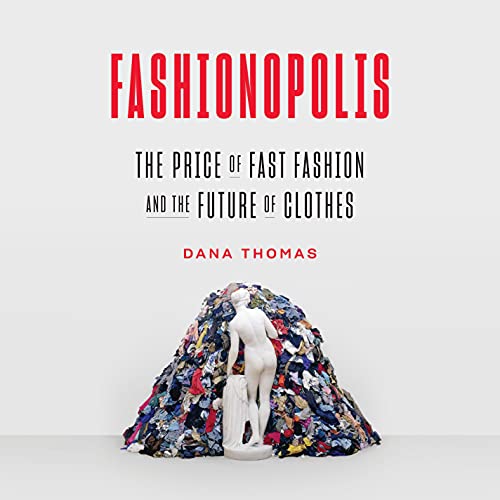 Algopix Similar Product 5 - Fashionopolis The Price of Fast