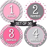 Algopix Similar Product 17 - Baby Girl Monthly Stickers  Milestone