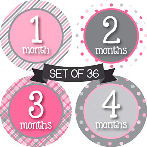 Algopix Similar Product 7 - Baby Girl Monthly Stickers  Milestone