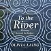Algopix Similar Product 2 - To the River A Journey Beneath the
