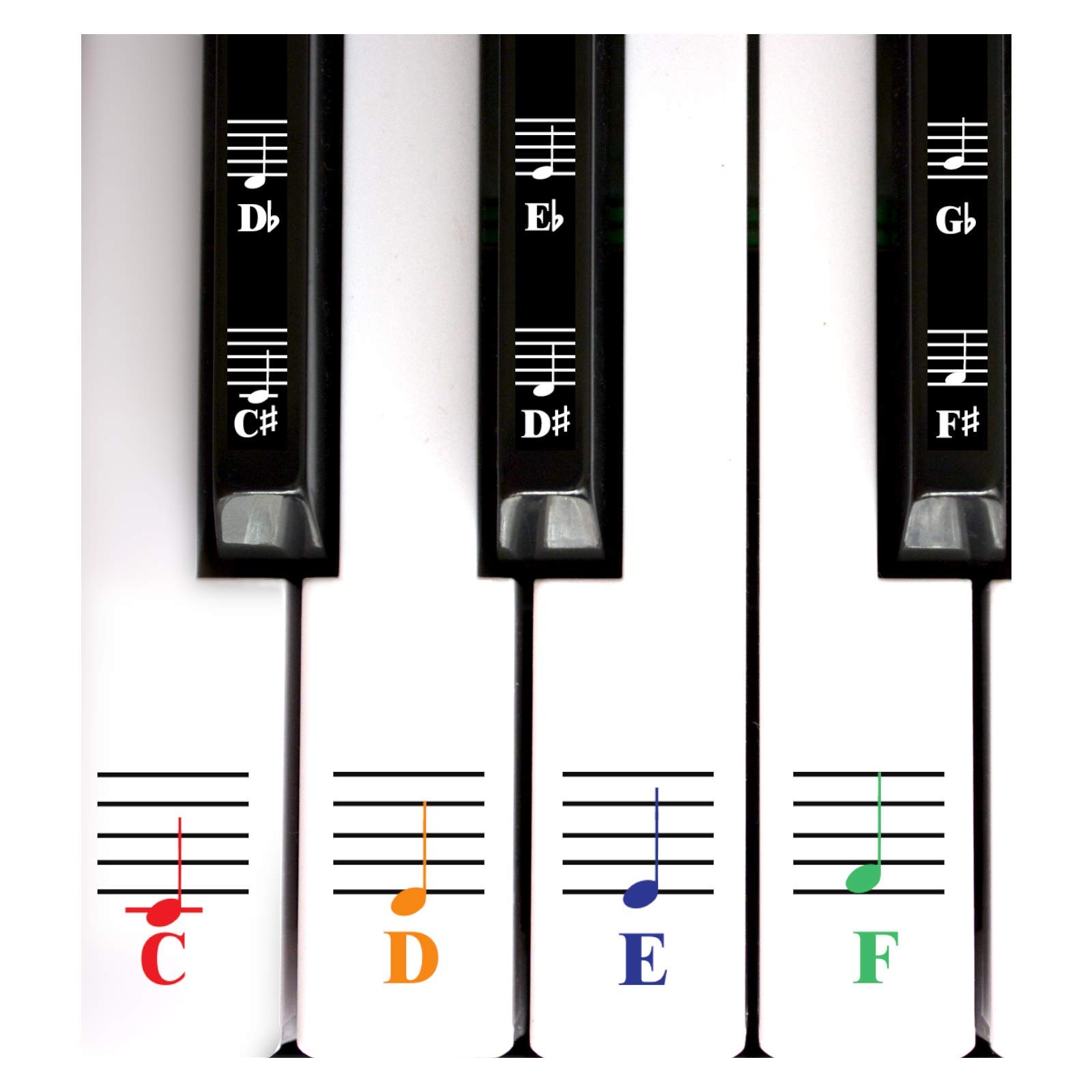 Algopix Similar Product 12 - QMG Color Piano and Keyboard Music Note