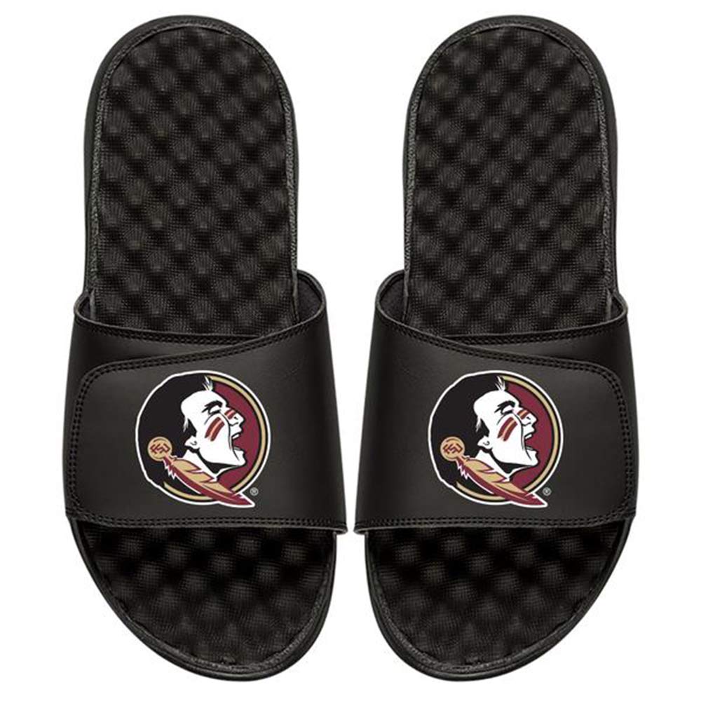 Algopix Similar Product 19 - ISlide FSU Florida State University