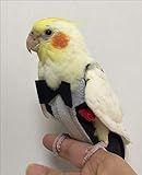 Algopix Similar Product 14 - Love Pets Love Parrot Bird Clothes