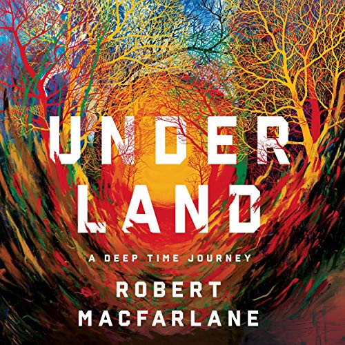 Algopix Similar Product 4 - Underland: A Deep Time Journey