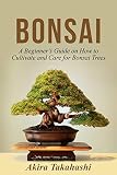 Algopix Similar Product 13 - Bonsai A Beginners Guide on How to