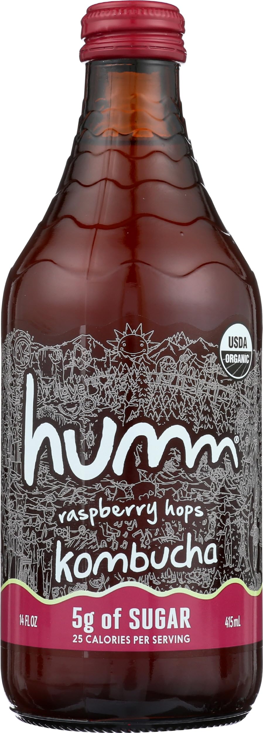 Algopix Similar Product 18 - HUMM KOMBUCHA Organic Raspberry Hops