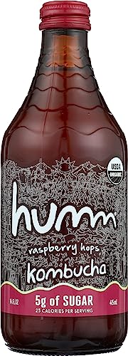 Algopix Similar Product 14 - HUMM KOMBUCHA Organic Raspberry Hops