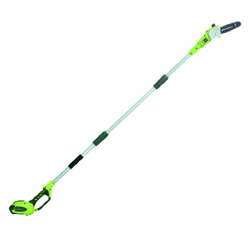 Algopix Similar Product 16 - Greenworks 8.5' 40V Cordless Pole Saw