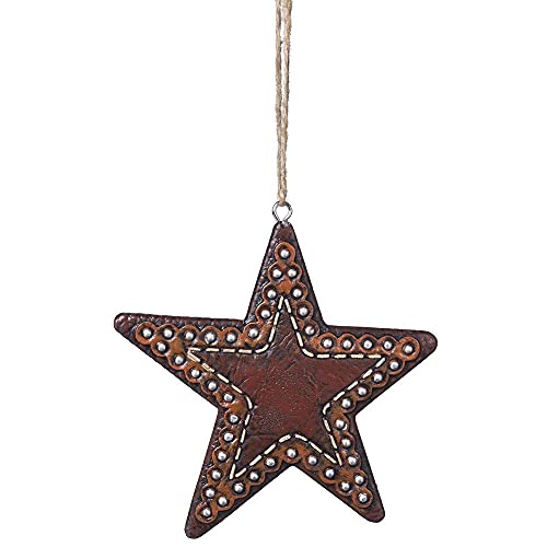 Algopix Similar Product 18 - Tough 1 Star/Studs Ornament